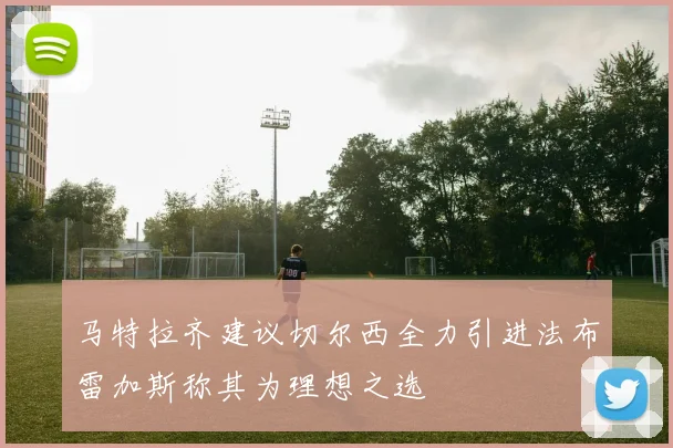马特拉齐建议切尔西全力引进法布雷加斯称其为理想之选
